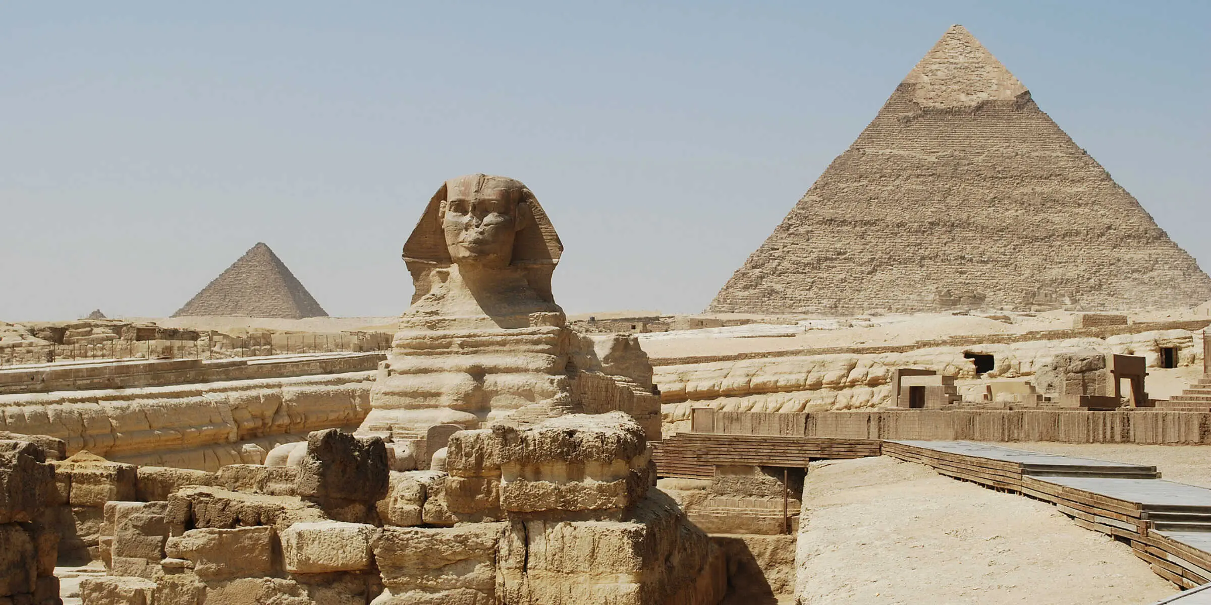 Egyptian cat
