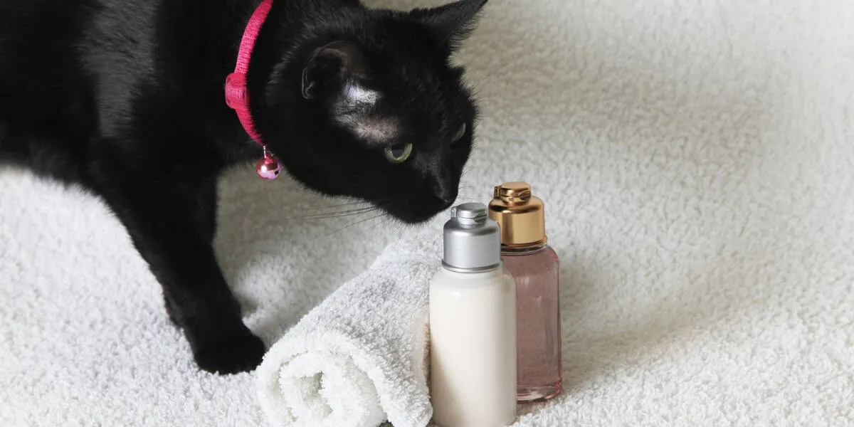 cat oils