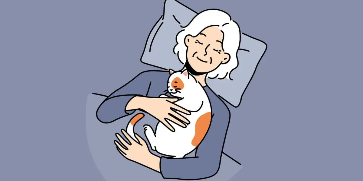 cat on chest