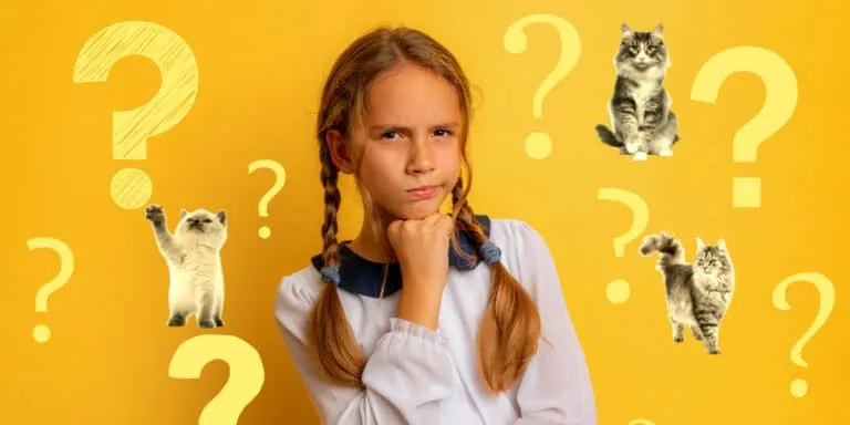 cat question