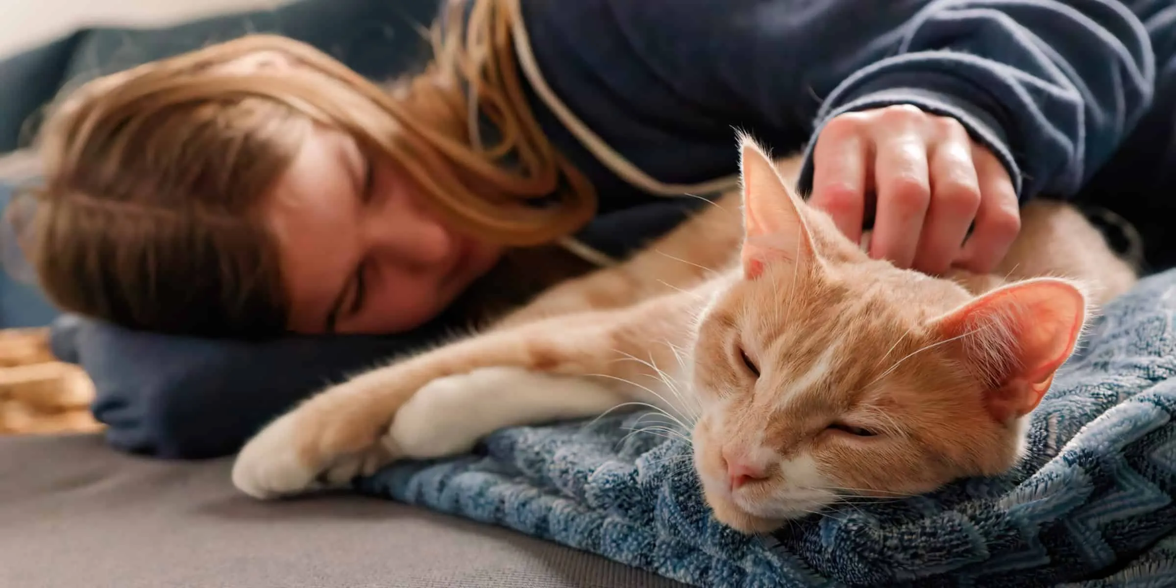 woman stroking cat