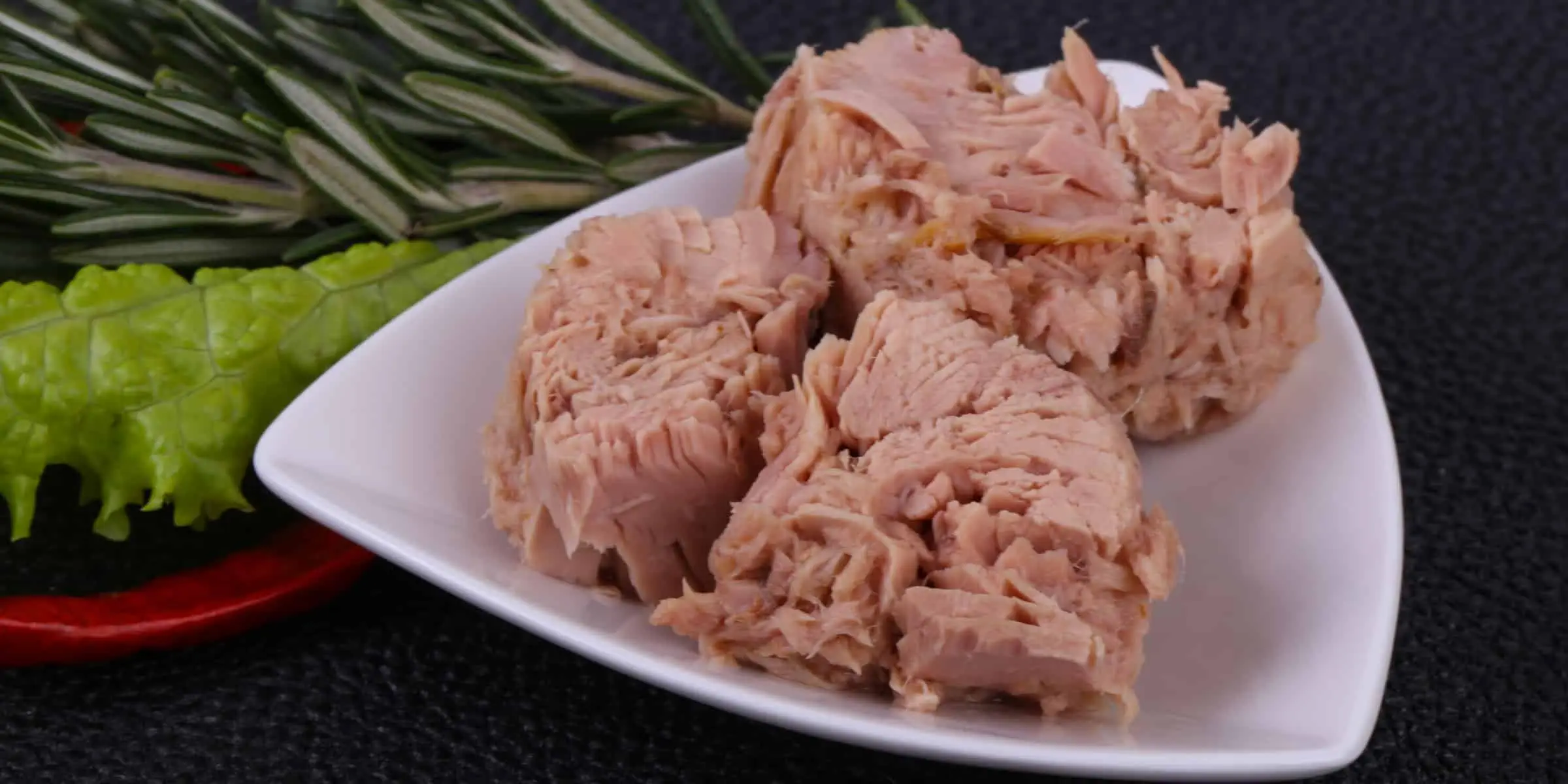 tuna on plate