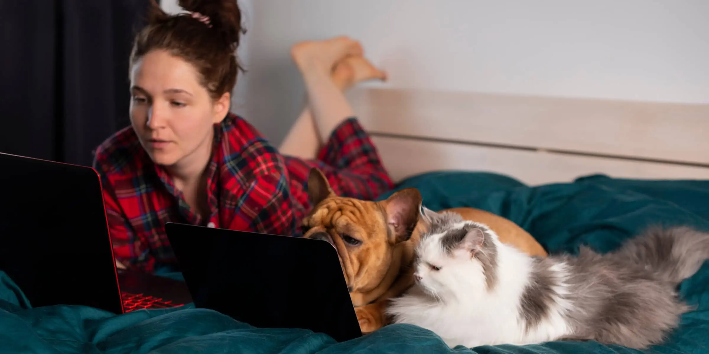 A woman laying on a bed with a cat and a laptop.