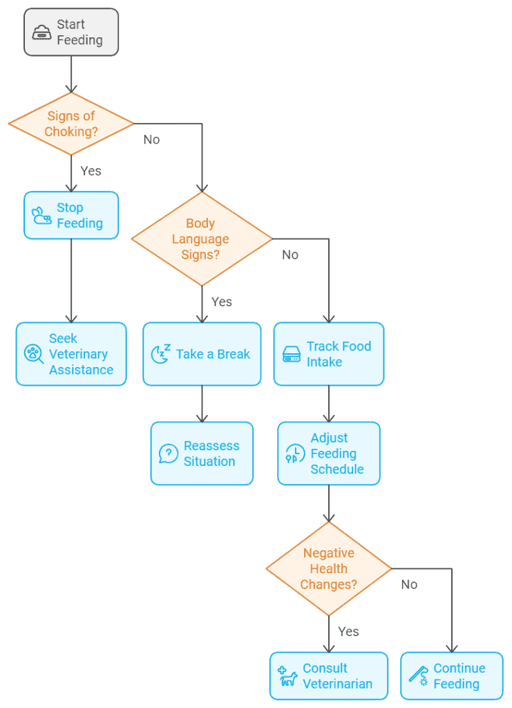 A flowchart showing steps for feeding, starting with checking for choking signs, then body language, food intake tracking, health changes, and instructions to continue feeding or seek veterinary help.